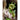 Deck Dragon