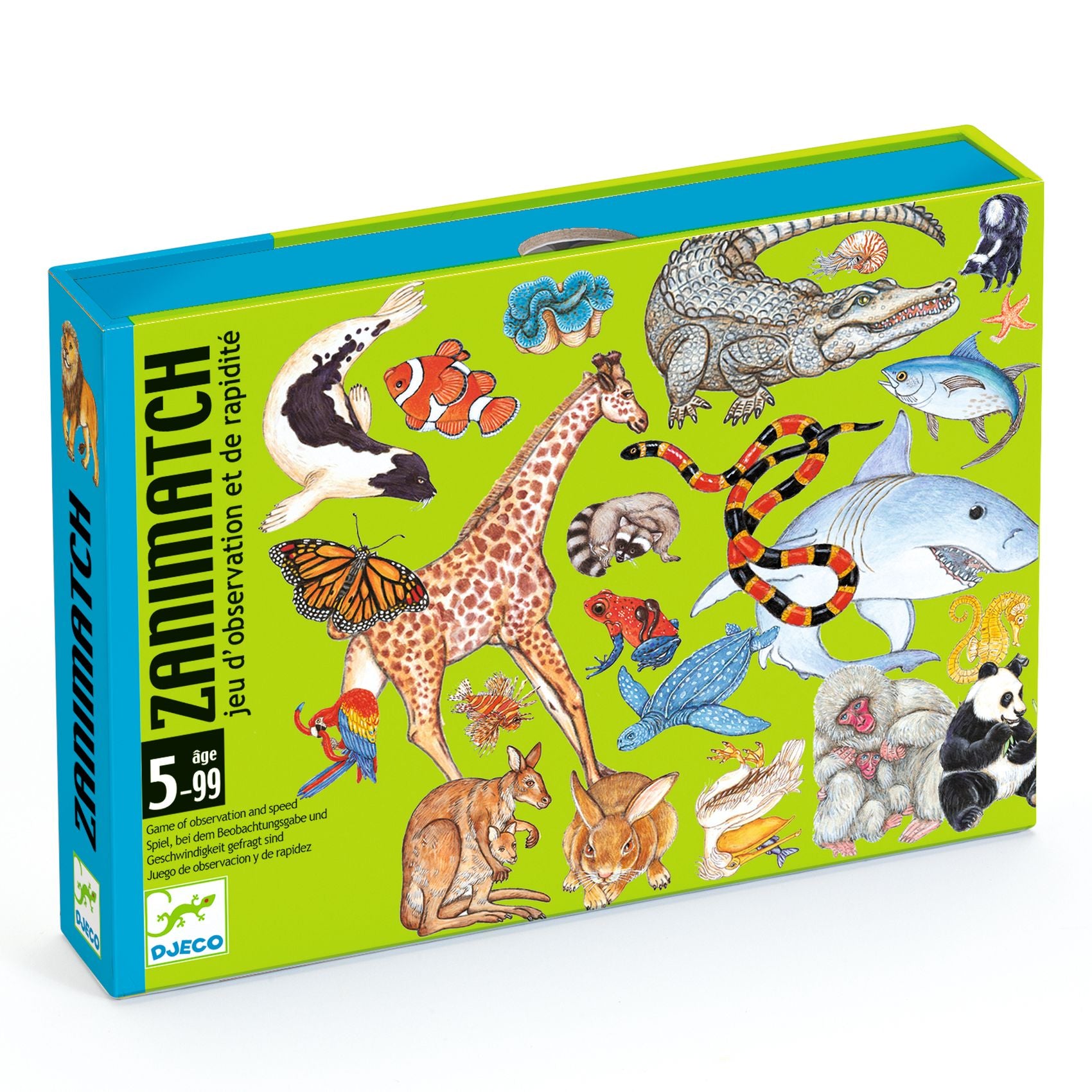 Zanimatch Family Game