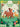 Forest First - Family Game
