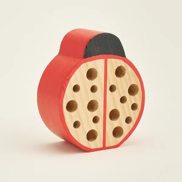 Ladybird Bug Hotel