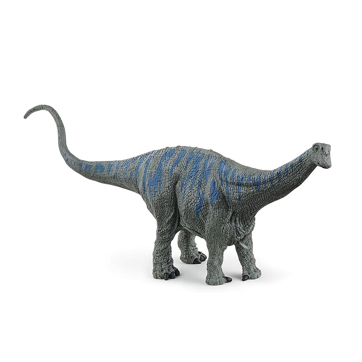 Brontosaurus