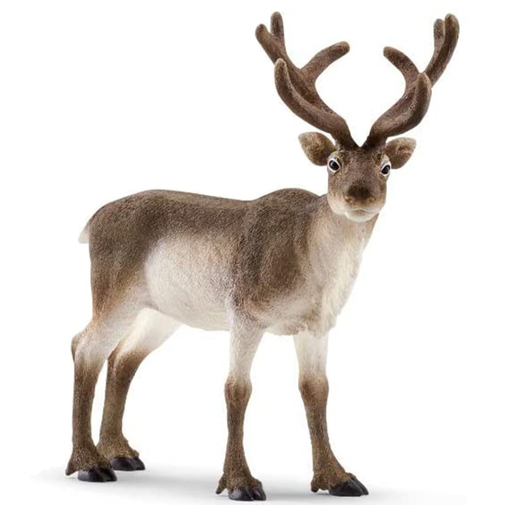 Schleich - Reindeer