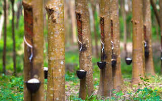 Why Do Wooden Toys Cost A Little More?🌳