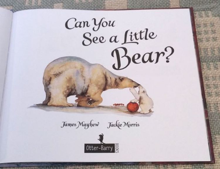 Can You See A Little Bear? - Jackie Morris. - Signed Copy