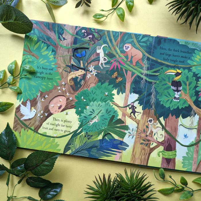 Let's Explore The Rainforest