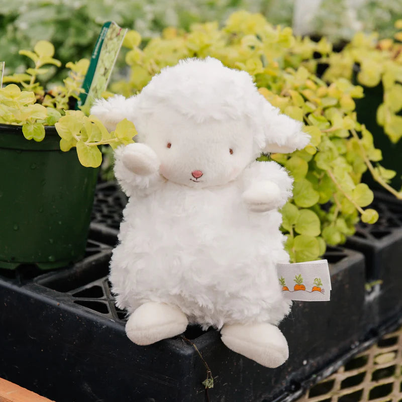Kiddo Little Lamb