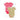 2 Pack Short Sleeve Body - Strawberry/Pink