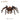 Harry Potter - Aragog