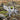 Harry Potter - Buckbeak