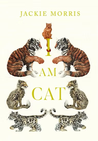 I Am Cat - Jackie Morris - Signed Copy✨