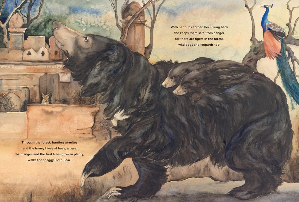 Something About A Bear - Jackie Morris - Signed Copy✨