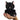 Palm Palls - Twilight Black Cat