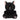 Palm Palls - Twilight Black Cat