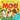 Peek-A- Moo  - Jane Garnett