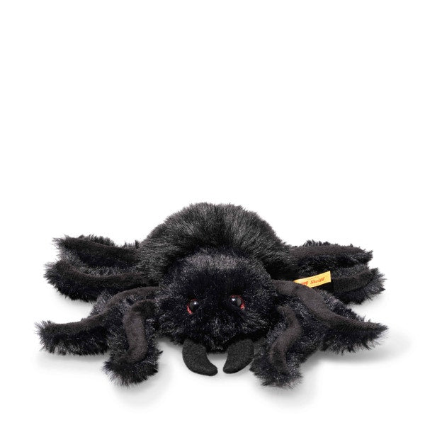 Cobweb Spider