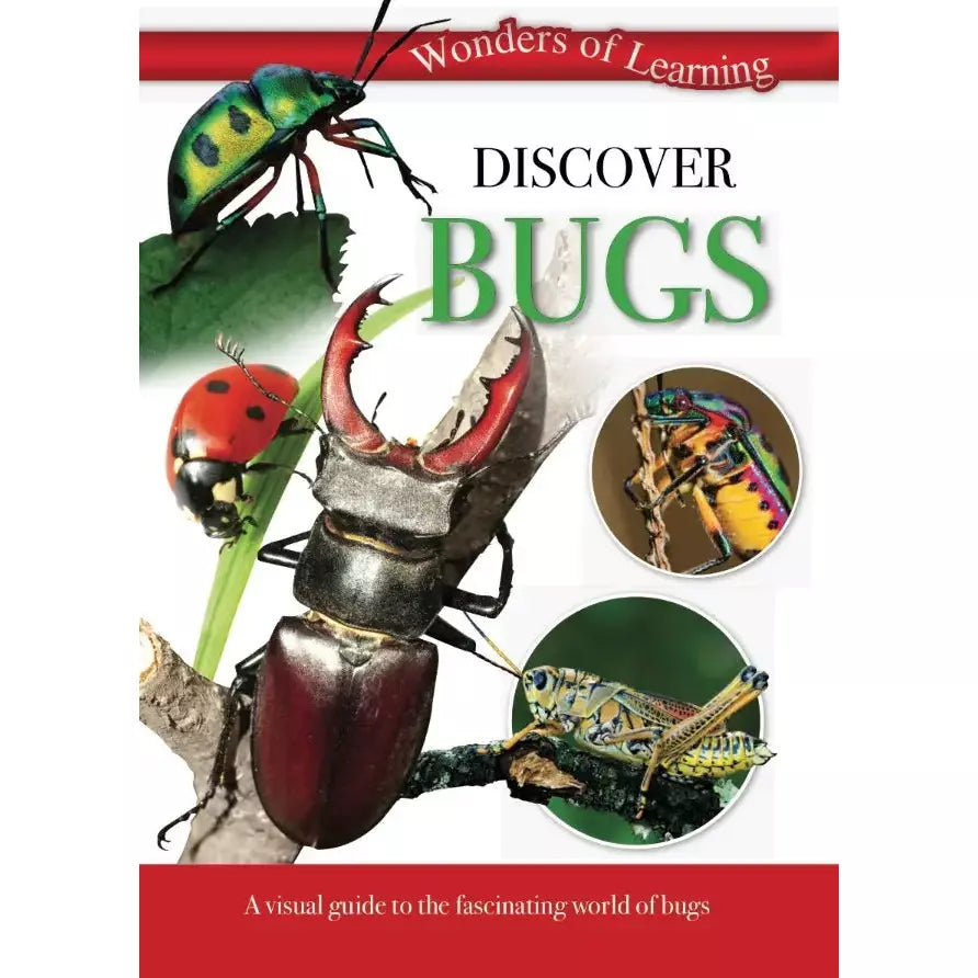 Tin Set - Discover Bugs