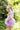 Flutter Butterfly Skirt & Wings - Lilac
