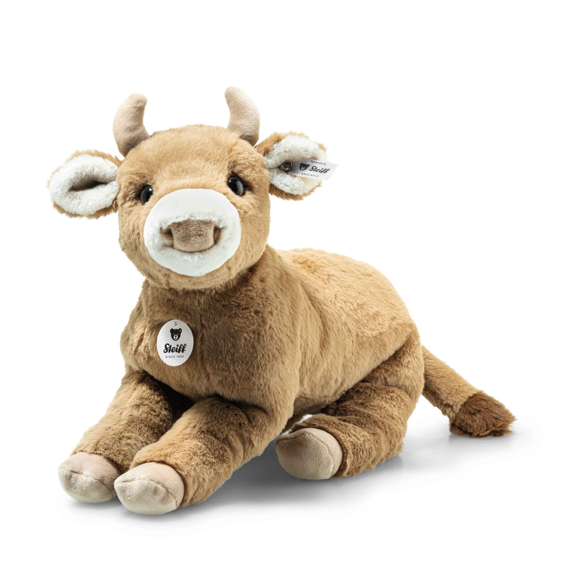 Resi Calf - Lying