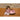 Wheelybug Ride On – Pig (Small )