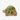 Three Little Rabbits - Activity Turtle