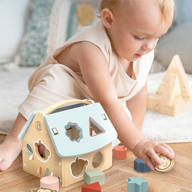 House Shape Sorter