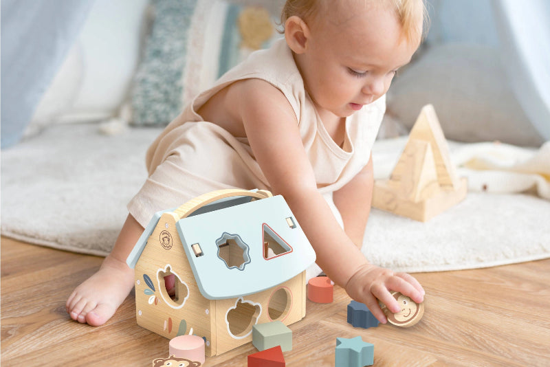 House Shape Sorter