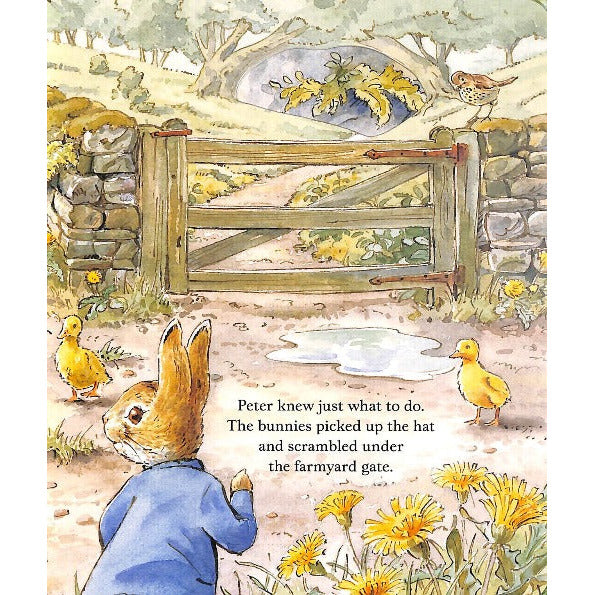 Peter Rabbit Lost Episode Peter Rabbit - The Lost Hat – Eve's Toy Shop