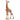 Giraffe Calf