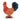 Farmyard Rooster