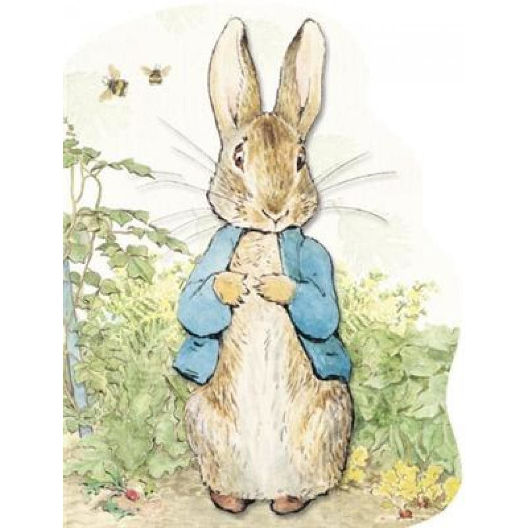 Peter Rabbit Soft Toy – Eve's Toy Shop